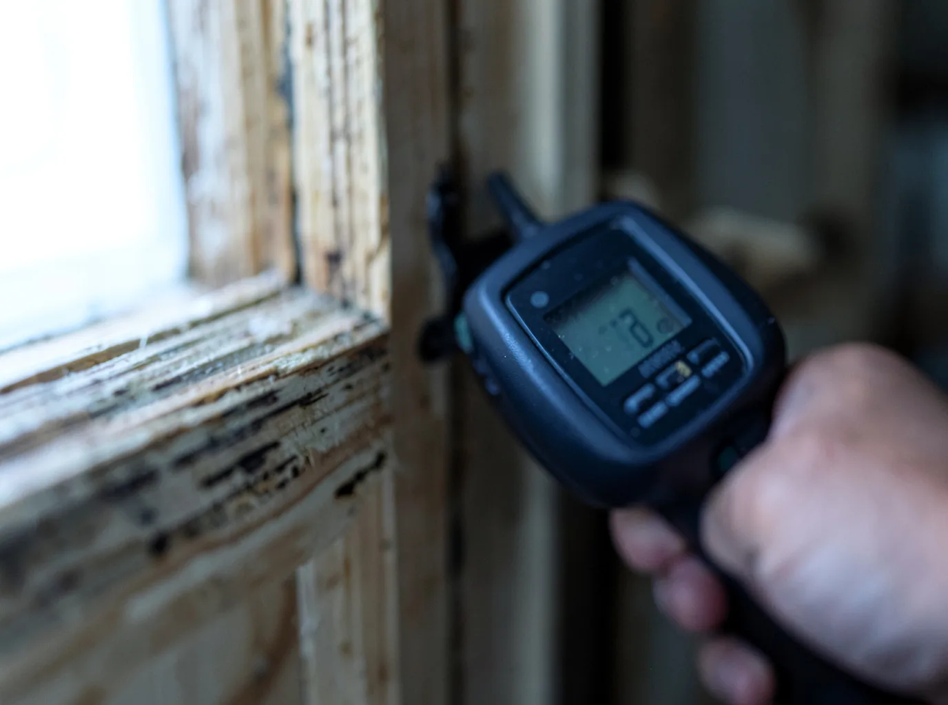 Moisture Inspection And Documentation in Dublin, TX